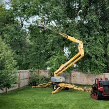 Best Utility Line Clearance  in St Clair, MI