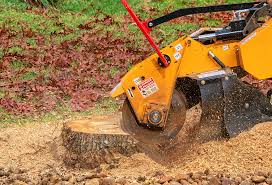 Best Tree and Shrub Care  in St Clair, MI